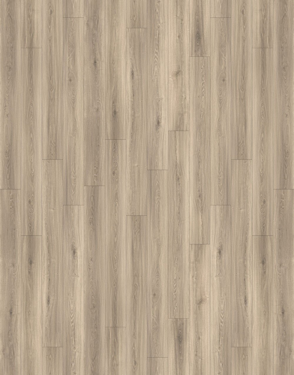 Heritage - Image 2