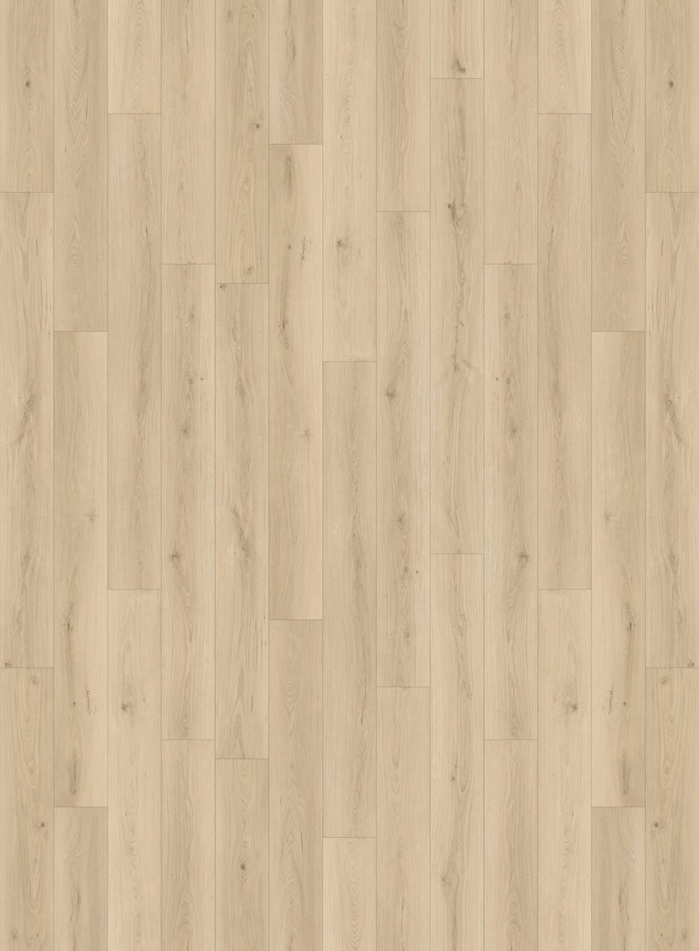 Moda - Image 2