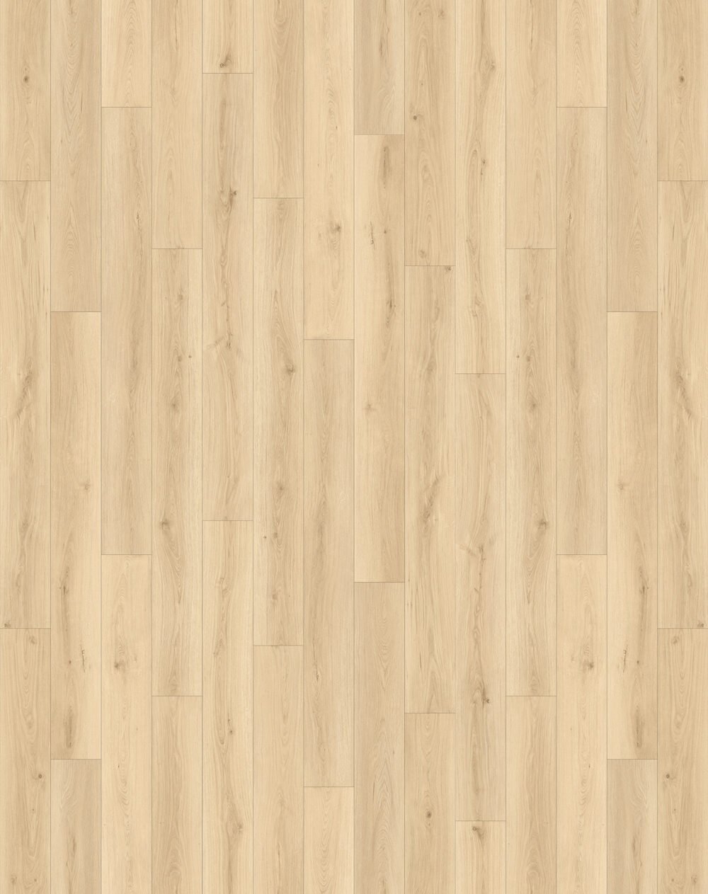 Posh - Image 2