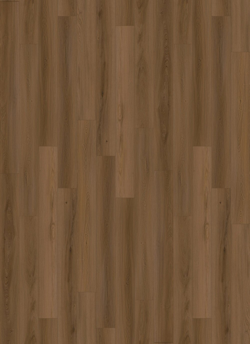 Regal - Image 2